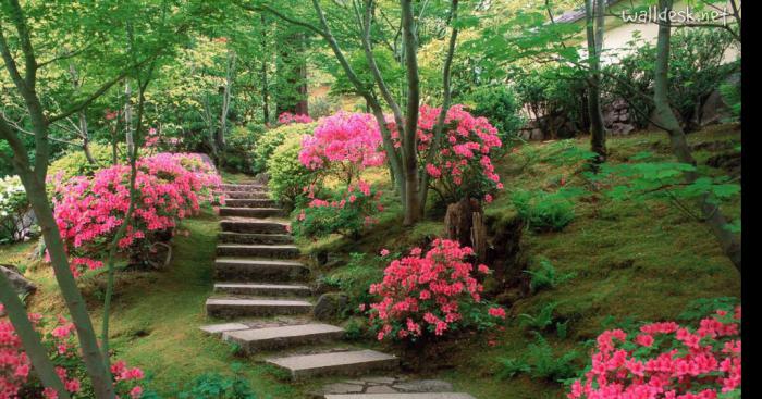 Le prix du jardin insolite décerner aux Jardins Des Libellules