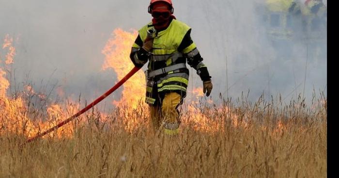 Incendie Manade Aubanel