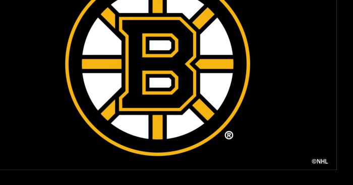 Vente en 2016 pour les Bruins de Boston?