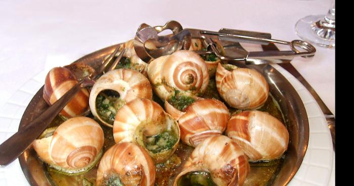 Trafic d escargots