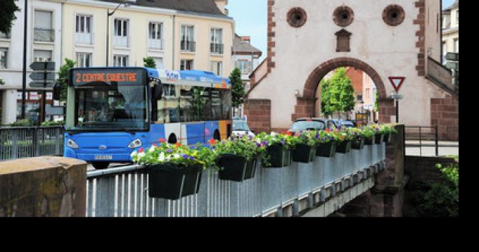 54é édition du tirage au sort de Haguenau