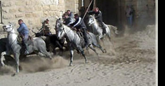 Revivre de la fête d'aigues mortes annulé !