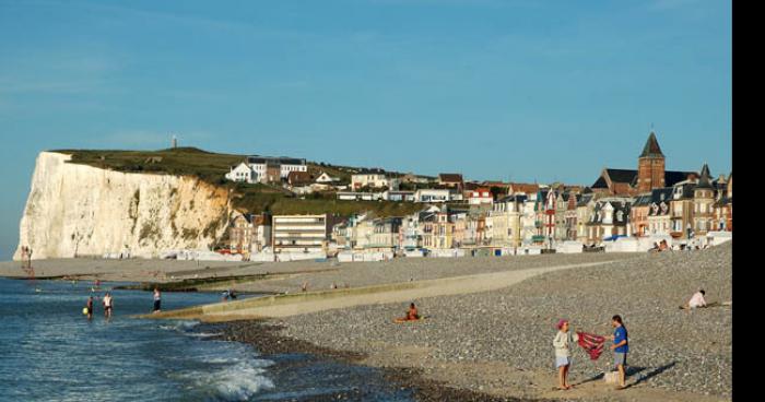 Moules carnivore à Mers-les-Bains