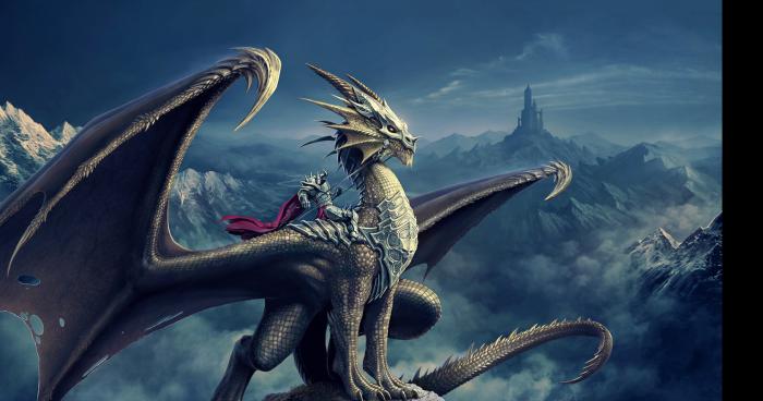 Dragons secteur du Plateau à Gatineau