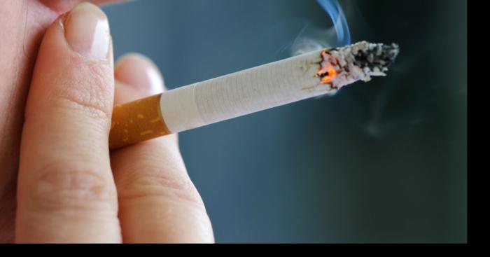 La cigarette réduit la taille du pénis