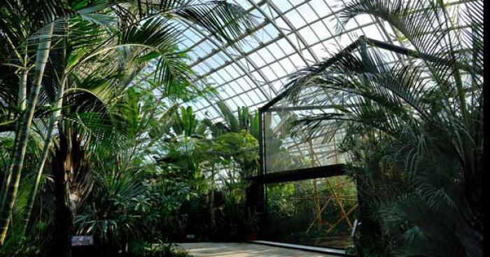 Des dinosaures échappés du zoo de Beauval