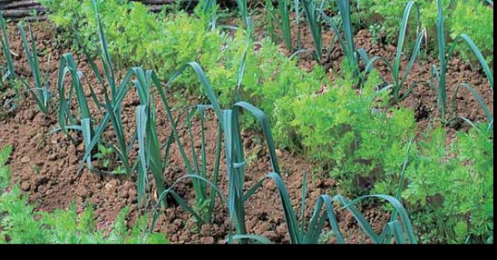 La taxe sur les potagers en vigueur dès 2019