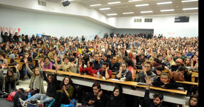 Création d’un nouveau cursus à l’Université Toulouse Jean Jaurès