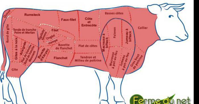 LE PRIX DU BOEUF A LA HAUSSE  . Par  Claude Leboeuf  Aôut 2015