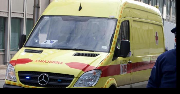 Un camion se renverse à Saint Brieuc (22) . 1 mort et un milliers de mygales dans la nature ...