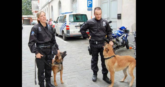 Ce mardi 20 octobre 2015 alexis seidoff s enfui menotté du commissariat de police de namur vers 8h ce matin, après avoir été arrêter pour un fait de coup et blessure volontaire et port illégal d arme blanche a feu ou non, celui est toujours en fuite et activement rechercher par les service de police, si vous avez des informations veuillez contacté les service de police, ce jeune homme etait vétu d un pull blanc d un pantalon bleu foncé et des chaussures noir.