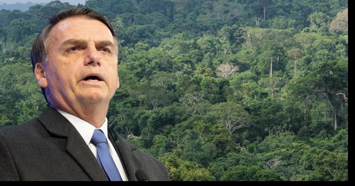 Le Président du Brésil va créer des parcs écologiques pour compenser la déforestation de l'Amazonie