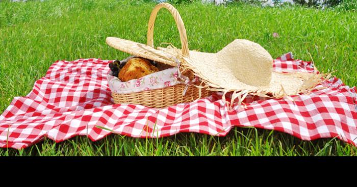 L'homme au multiple pic-nic