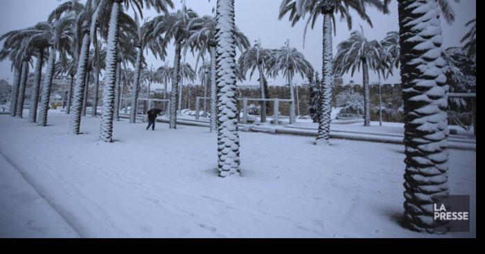 Une Tempte de neige apocalyptique laisse 10cm de neige sur Miami