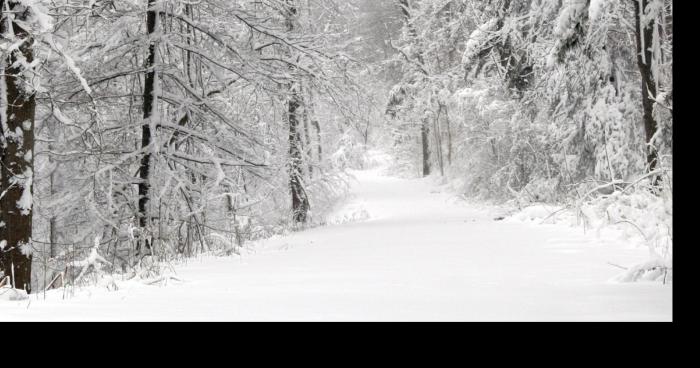 La neige se laisse attendre