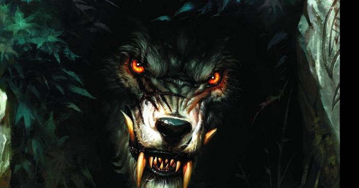 Un loup garou vampire dans la nature